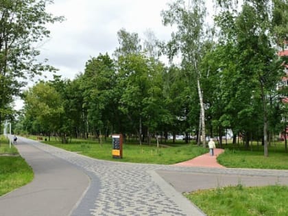 В Тюмени 266 млн рублей потратят на благоустройство парка имени Лагунова