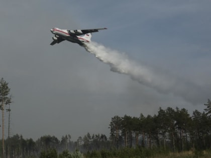 Тюменская область дополнительно получит 186 млн рублей на тушение лесных пожаров