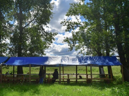 Школьникам расскажут о лекарственных растениях Тюменской области