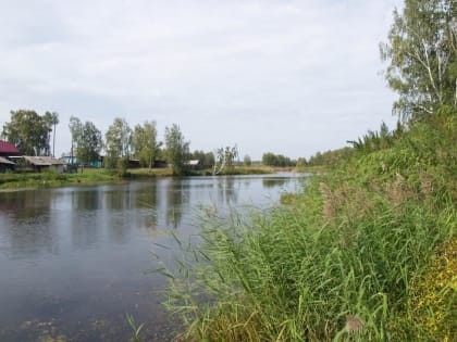 В Тюменской области водоемы в пяти санаториях и базах отдыха признаны безопасными