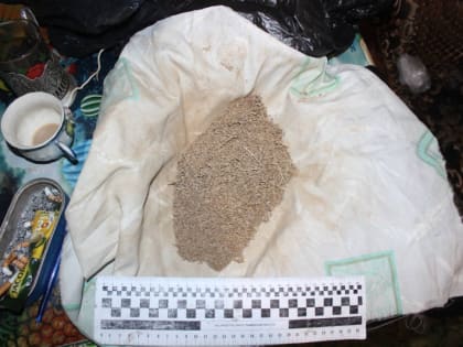 В Голышмановском районе участковый изъял марихуану у сельского жителя