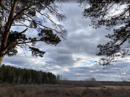 В Тюмени 27 апреля  +22 градуса и порывистый ветер