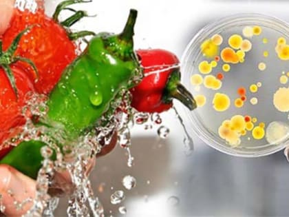 Для здоровья иммунитета детям нужно употреблять фрукты и овощи