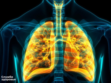 Заболевания органов дыхания занимают одно из ведущих мест среди самых распространённых и опасных недугов
