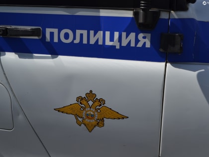 На жителя Заводоуковска завели уголовное дело за насилие к полицейским