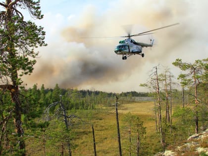 Пожарная ситуация зависит от каждого