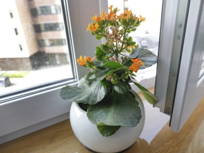 На улице Энергетиков в Тюмени из окна 4 этажа выпал мужчина