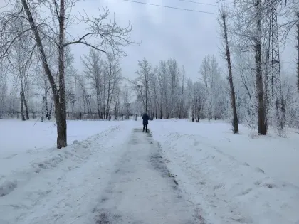 «Мороз и солнце, день чудесный!». Жителей Тюмени ожидает морозная, но солнечная неделя