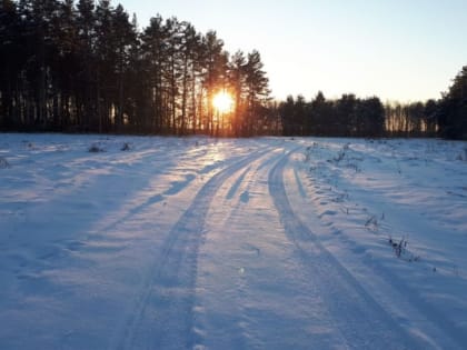 Тюменцев ждет снег с дождем и сильный ветер