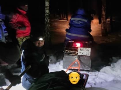 Пропавшего тюменского пенсионера нашли в лесу без сознания