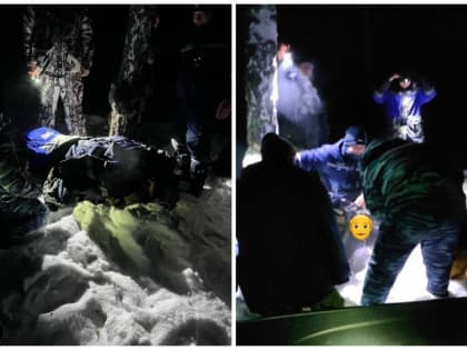 В лесу под Тюменью нашли 74-летнего пенсионера без сознания