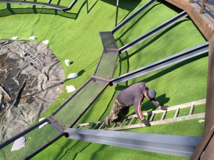 Пруд в Аптекарском саду преображается