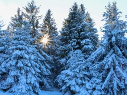 В ближайшие дни в Тюменскую область придут морозы до -25 градусов