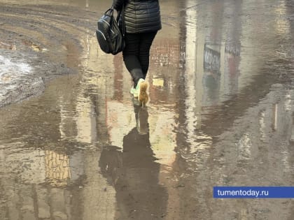 Потепление ожидается в Тюмени 3 декабря