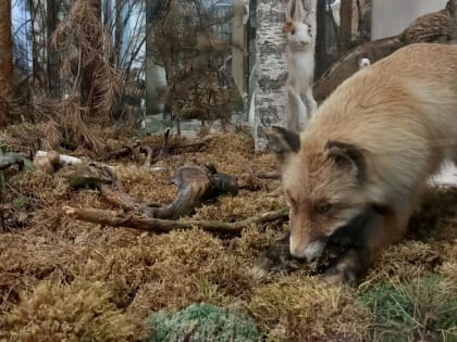 Для ялуторовских школьников проводят уроки и лекции в "Доме природы"