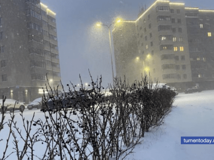 В Тюмени 22 декабря прогнозируется -1 градус и при южном ветре