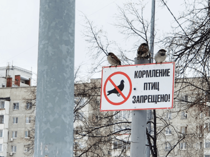 В первый день зимы в Тюмени будет -16 и пасмурно