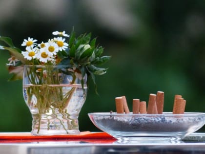 О запрете на курение табачных изделий