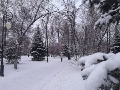 Во вторник в Тюмени будет пасмурно и тепло