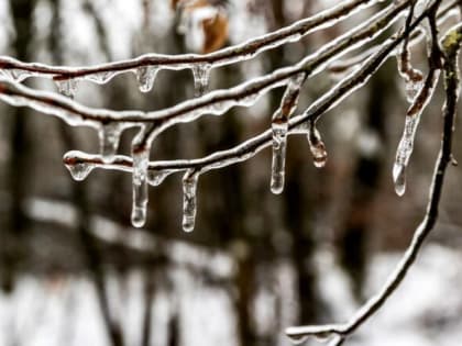 К следующим выходным в Тюмени потеплеет до +6 градусов