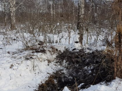 В Тюмени расследовали дело о гибели предпринимателя, убитого лопатой на даче