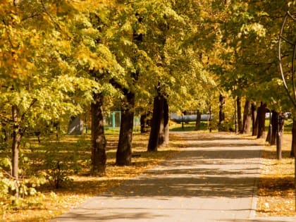 Неделя с 18 по 24 сентября в Тюмени будет теплой и без ночных заморозков