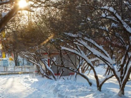 В пятницу в Тюмени вновь будет мороз и солнце