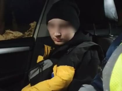 За ночь на тюменских дорогах задержали 19 пьяных водителей