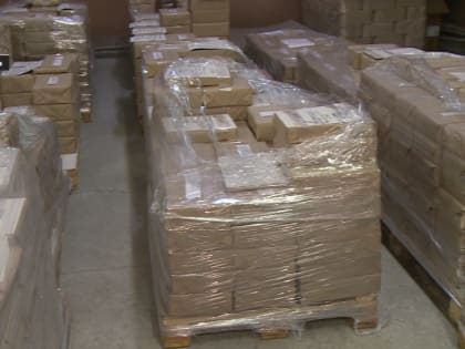 Более 240 тыс бюллетеней отпечатано для дополнительных выборов в ТОД