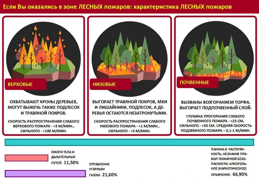 Защита опасных производственных объектов от лесных пожаров методический план