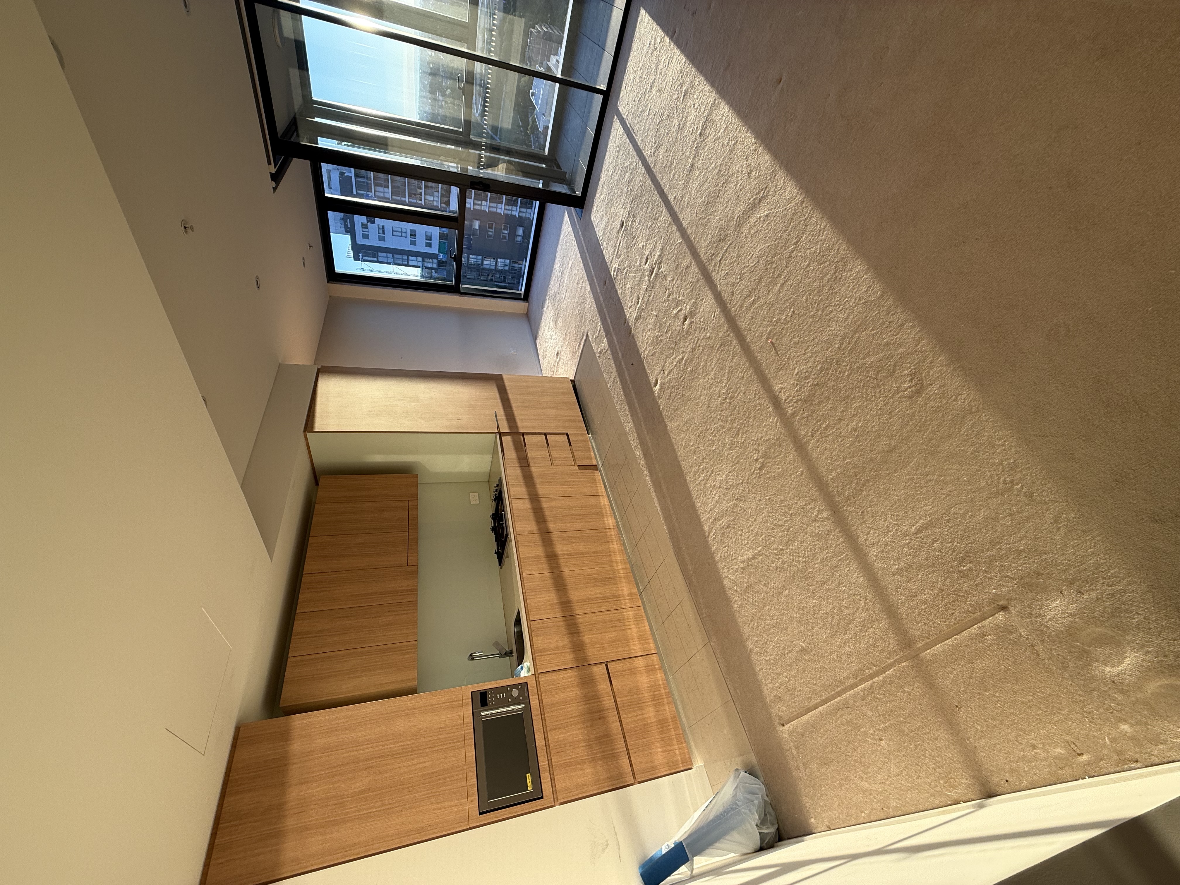 Carpet before steam clean — stained throughout