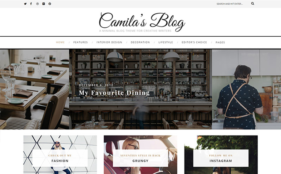 Camila - Minimal Blog WordPress Theme