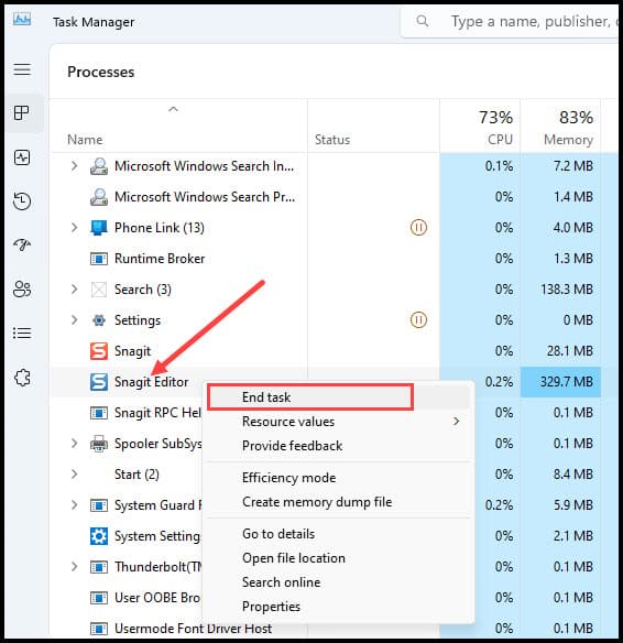 Using Task Manager to stop SnagIt Editor.