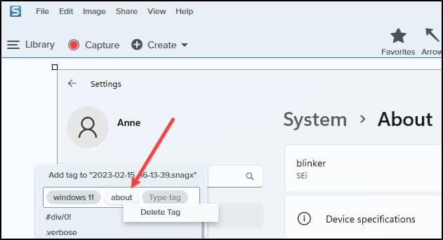 Deleting SnagIt tag.