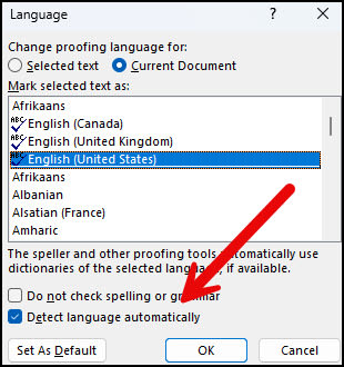 Language dialog with Detect language automatically enabled.