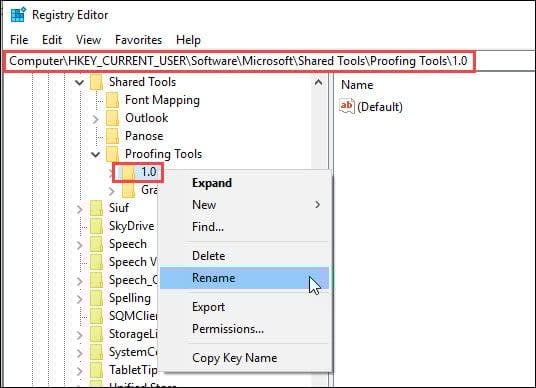 Windows registry editor and Proofing folder.