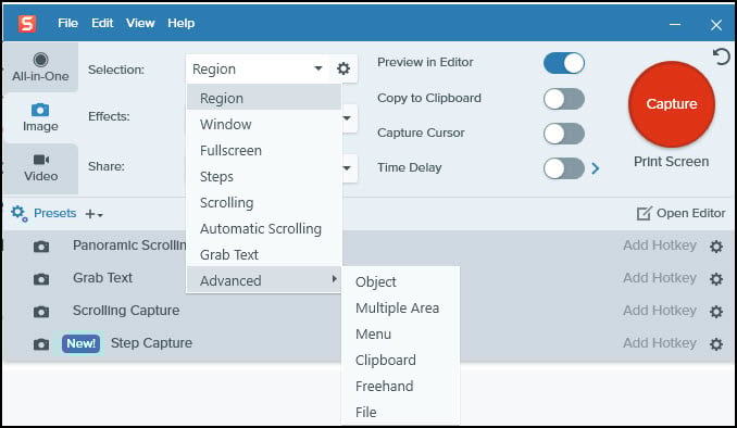 Snagit capture panel with submenu.