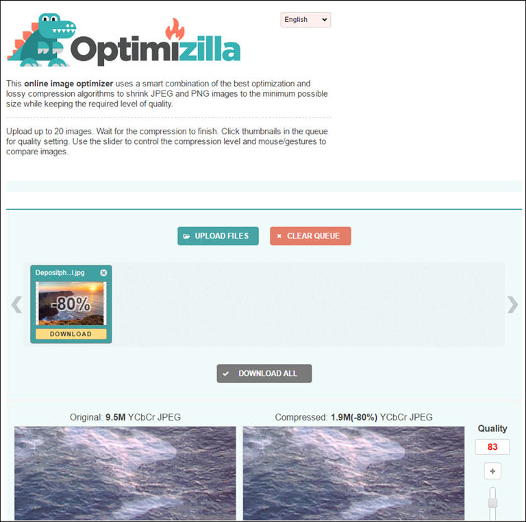 Optimizilla picture and results.