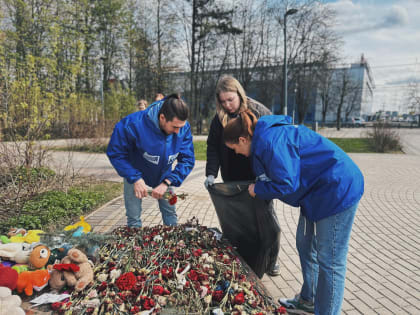 Более 80 памятников и мемориалов приведут в порядок к летнему сезону в Химках