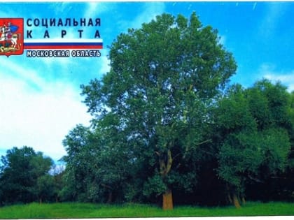 Что делать при утере социальной карты?