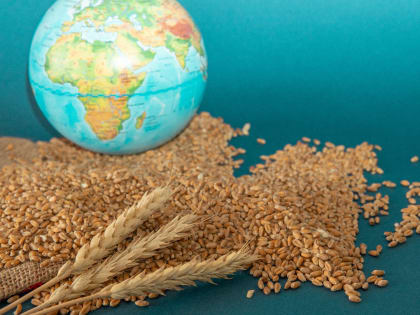 Госдепартамент США обвинил Россию в нарушении условий зерновой сделки