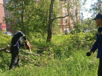 Лобня хорошеет: новые этапы благоустройства