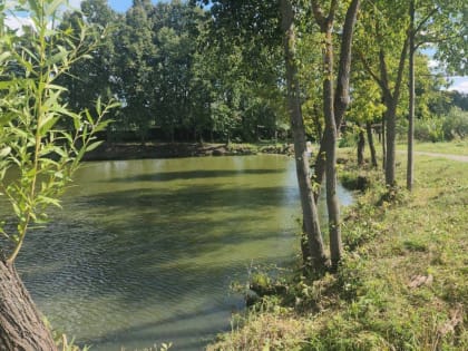 Экологическая акция в Ступино: обновление водоемов