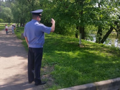 В Электростали за неделю благодаря Госадмтехнадзору приведены в порядок участки с зелеными насаждениями