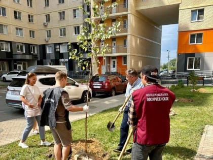 Представители Молодежной палаты поселения Воскресенское провели мероприятие по посадке деревьев