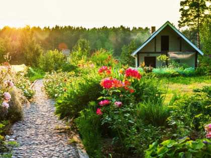 Дачная амнистия:  как оформить дом или участок в упрощенном порядке