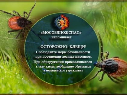 Жителям Люберец напомнили о мерах безопасности на природе из-за активности клещей