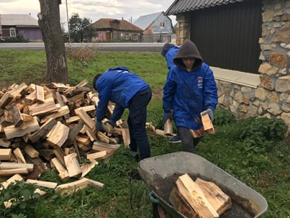 Луховицкие партийные активисты помогли жительнице деревни Врачово заготовить дрова