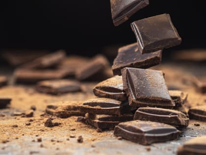 Россиянам рассказали, как выбрать качественный шоколад
