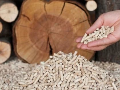 Правительство выделит 15 млрд рублей на перевод котельных с мазута на пеллеты